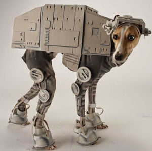 Meet your Posher, Sterling